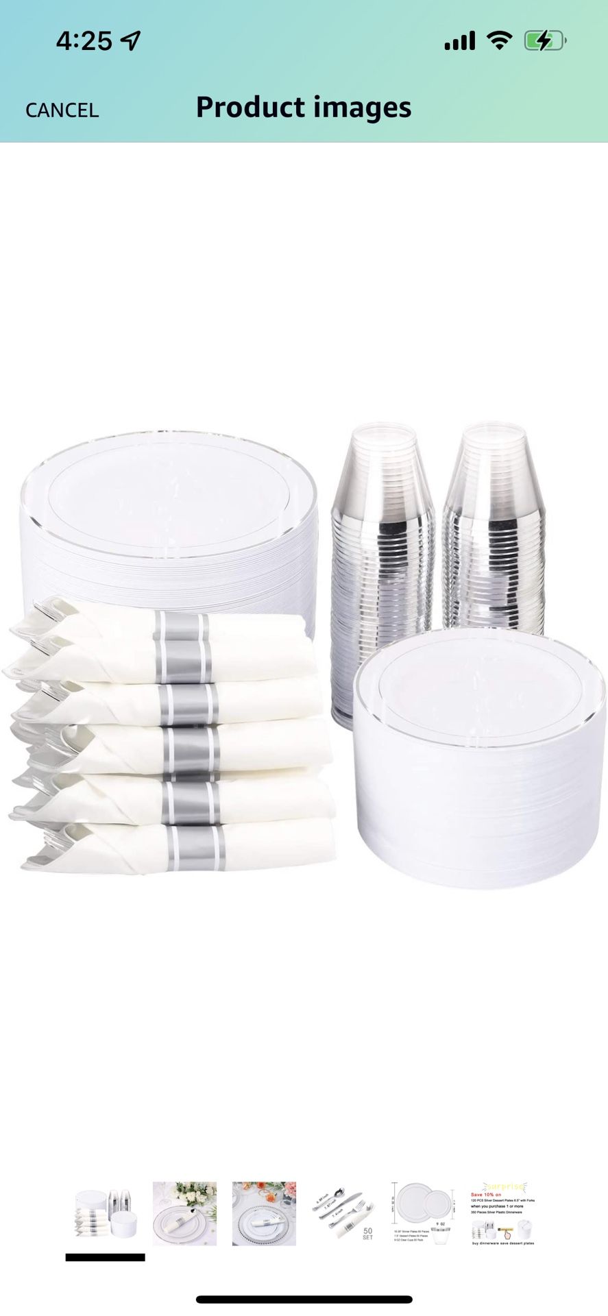 Plastics Dinnerware Sliver Rim