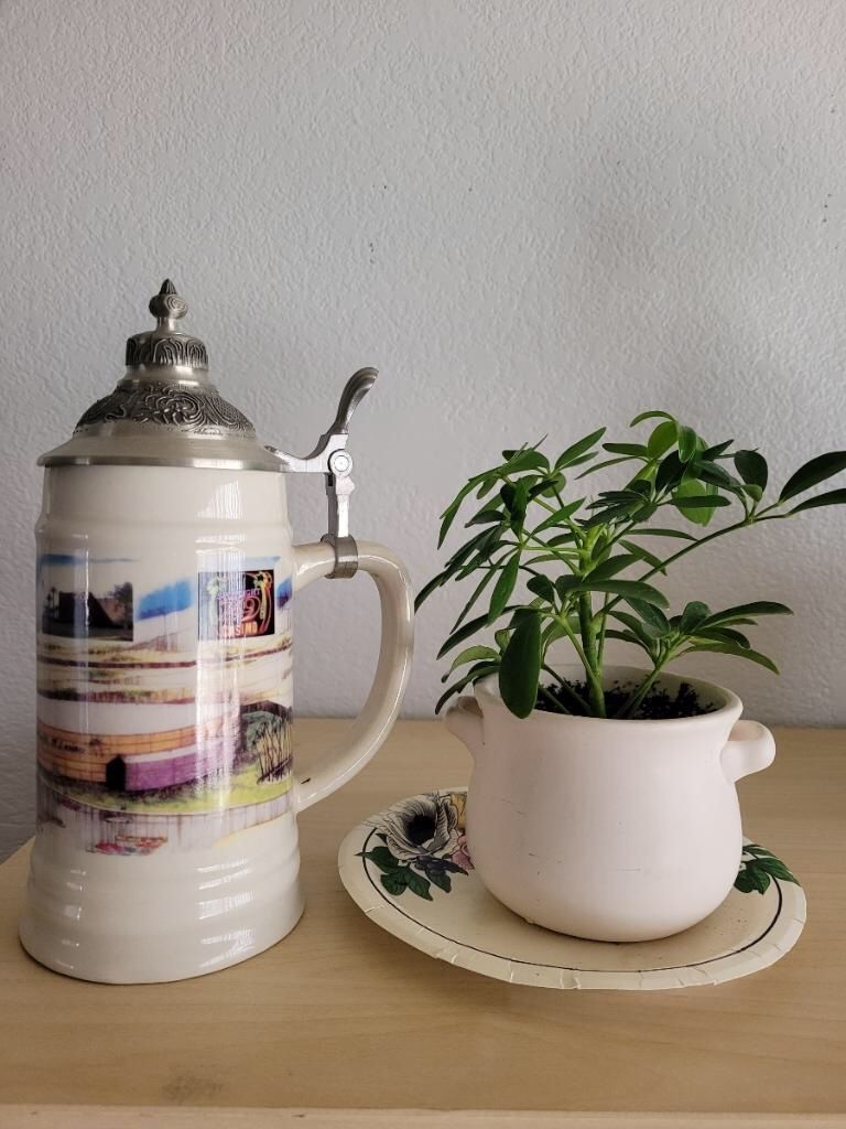 BRAND NEW...German Beer Stein With Pewter Lid. Packaged In Storage For Staging Furniature.