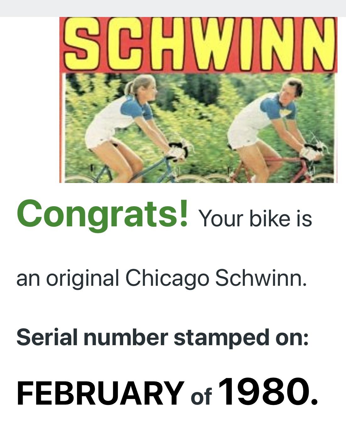 Schwinn Bike 1980