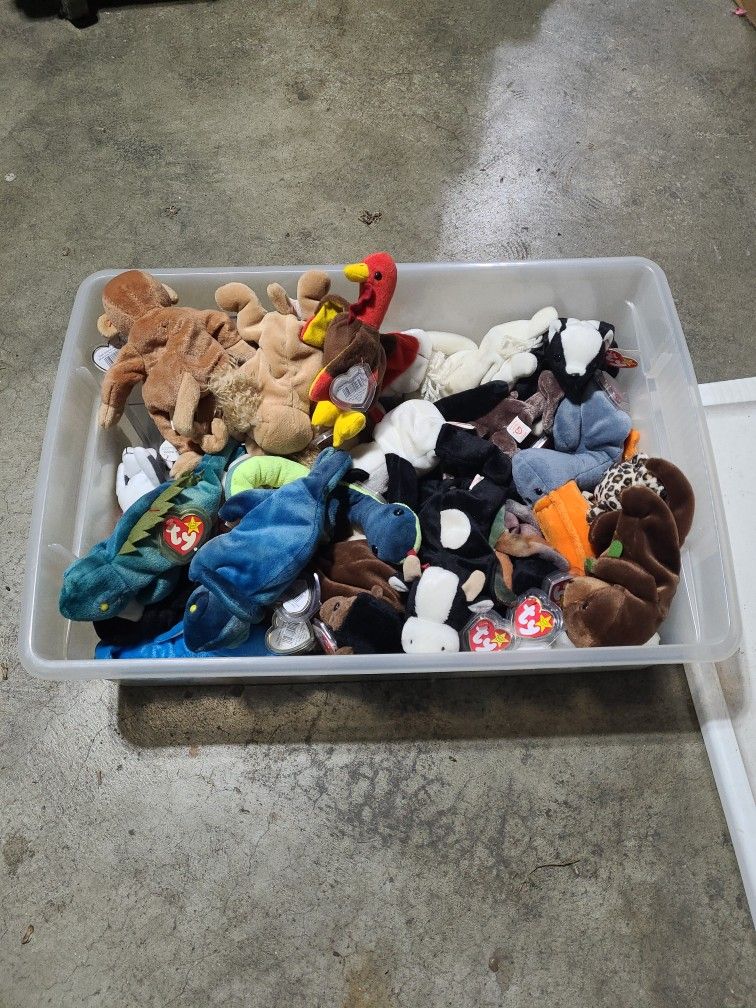 Box Of Beanie Babies. Perfect Condition Very. Rare Tag Error On Chocolate The Moose. Have 2 Of Them. OBO