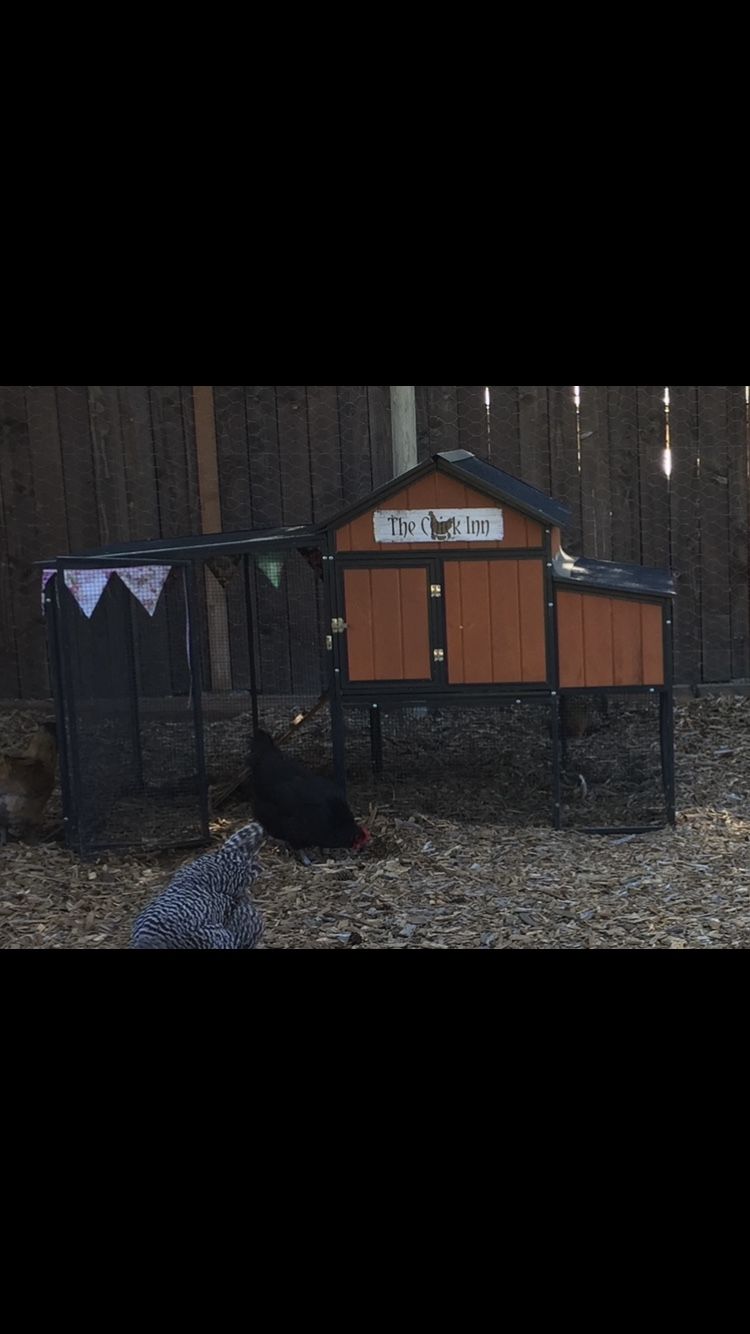 Sentinel Chicken Coop