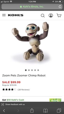 Zoom Monkey Thumbnail
