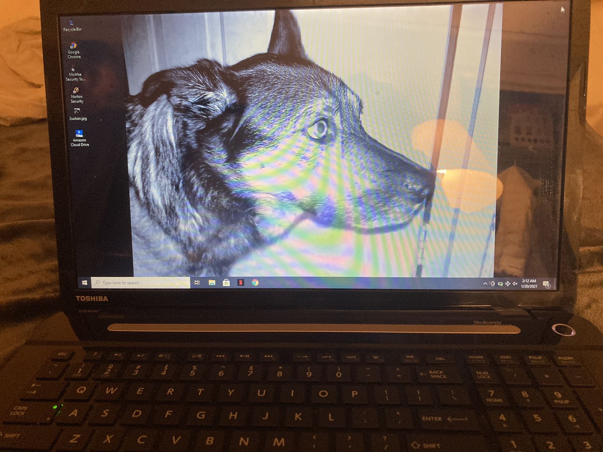 Toshiba Satellite 75-B laptop