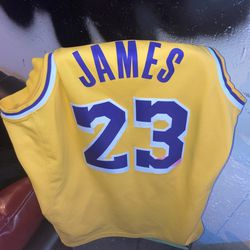 Lebron James Jersey  (Lakers) Thumbnail