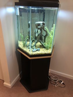 35 Gallon Hexagon Freshwater Fish Tank Thumbnail
