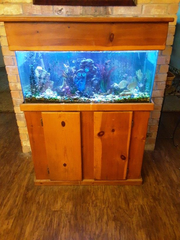 Aquarium