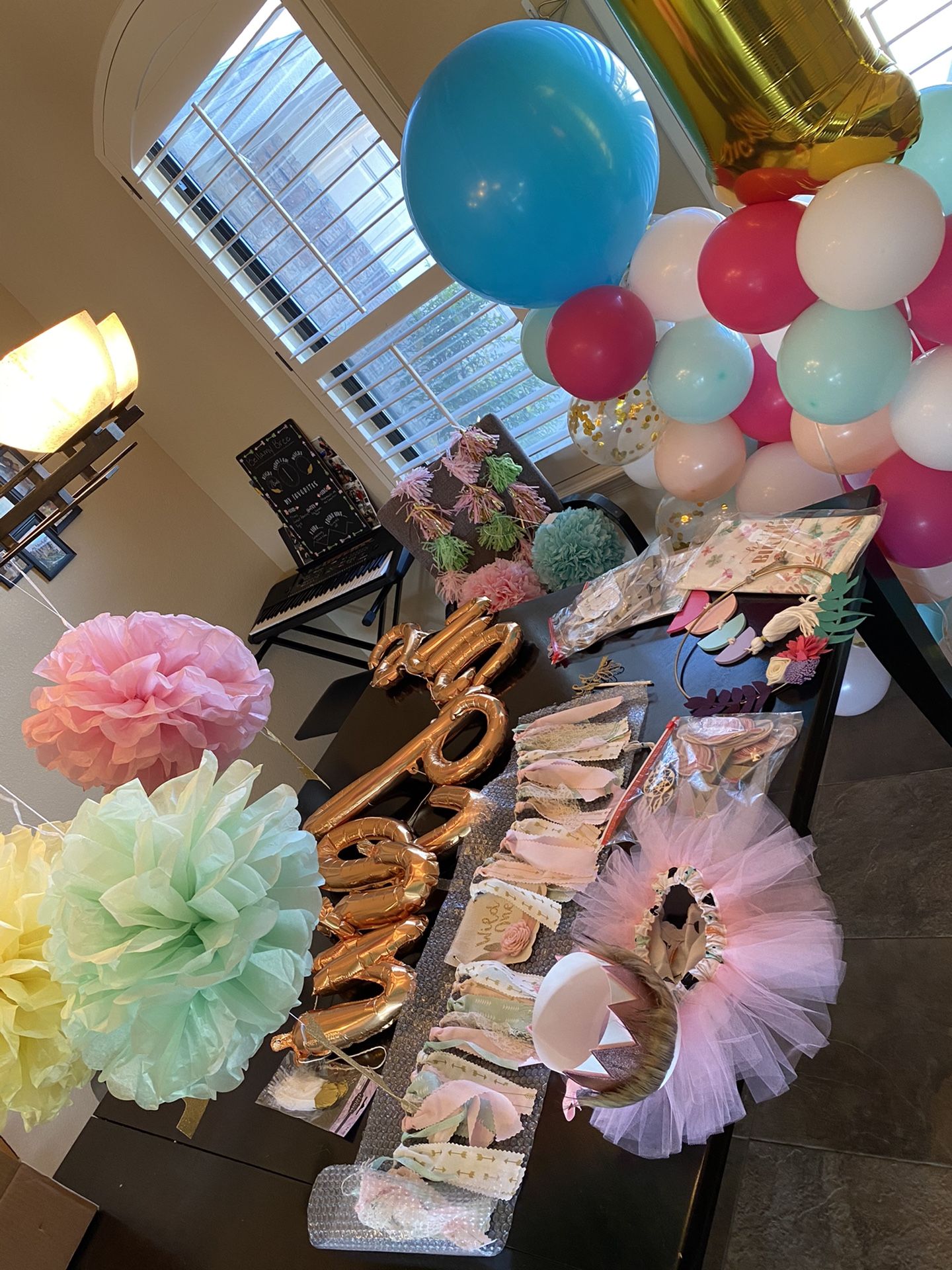 Wild ONE girls birthday decorations