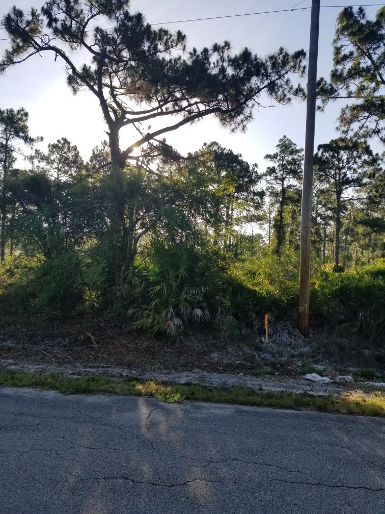 LOT CLEARING / BOBCAT SERVICE / PROPERTY CLEAN UP