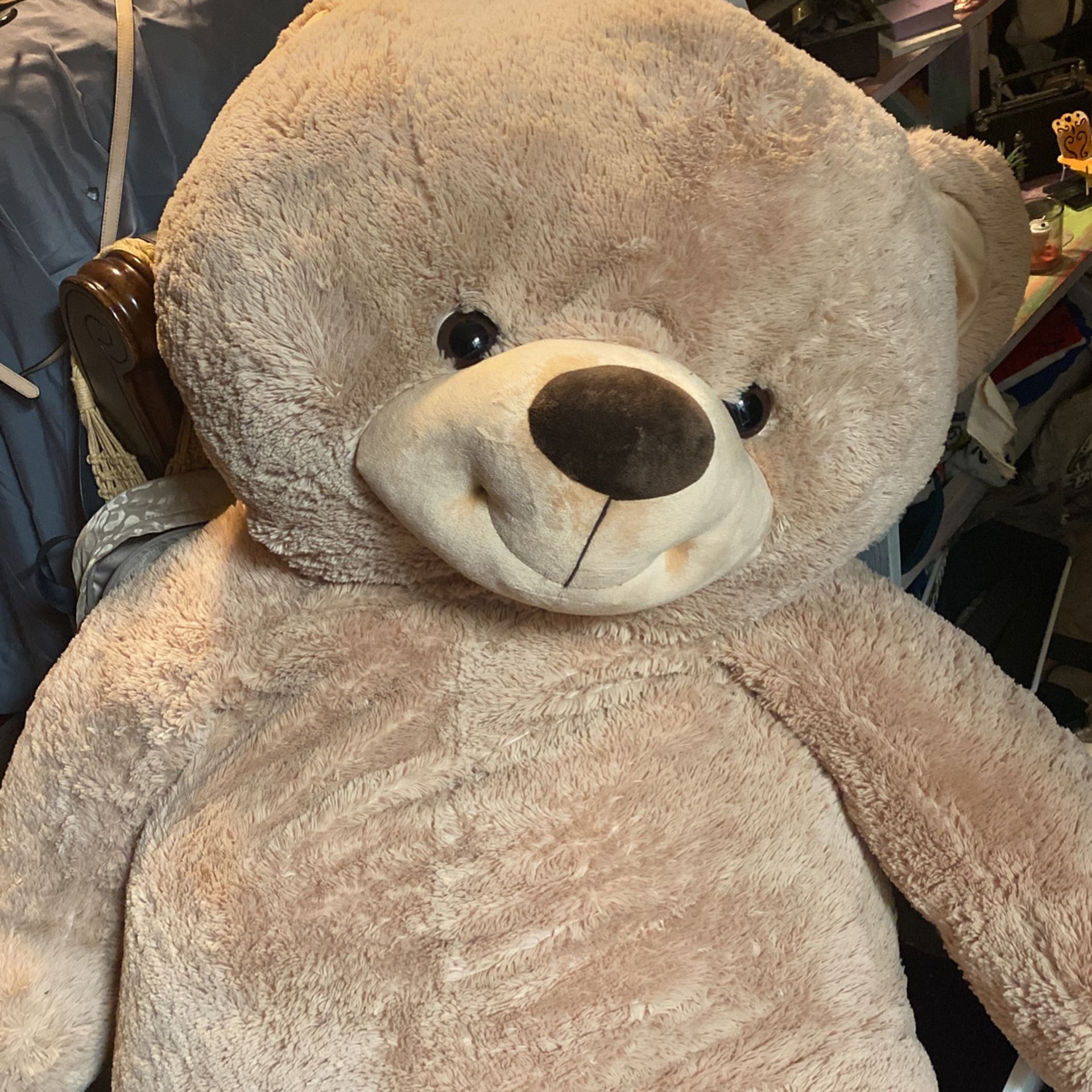 Giant Teddy Bear!!!! New! Paid Over 200! 75 Is What I’m Asking But I Will Take Reasonable Offers