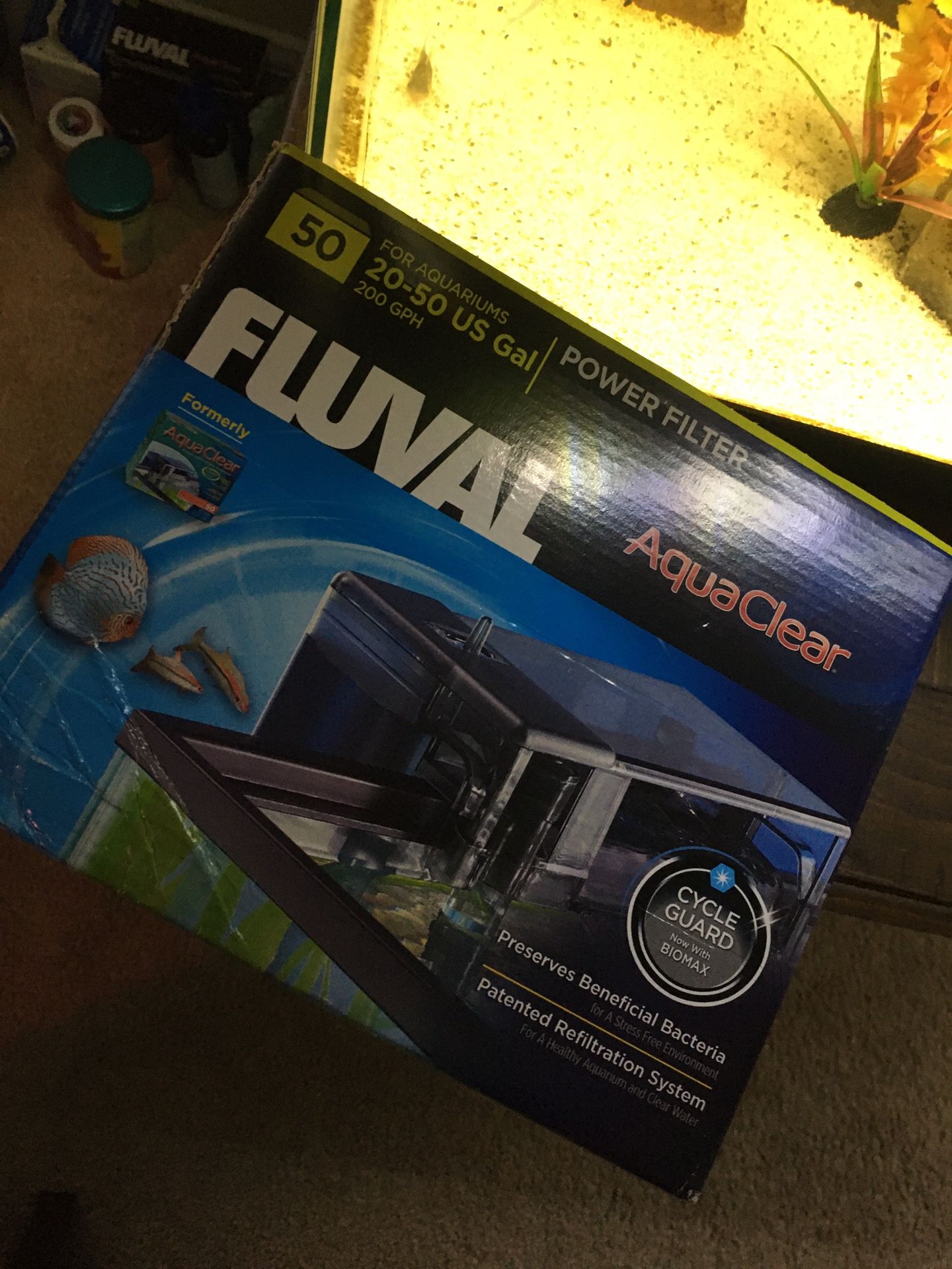 20 Gallon Fish Tank