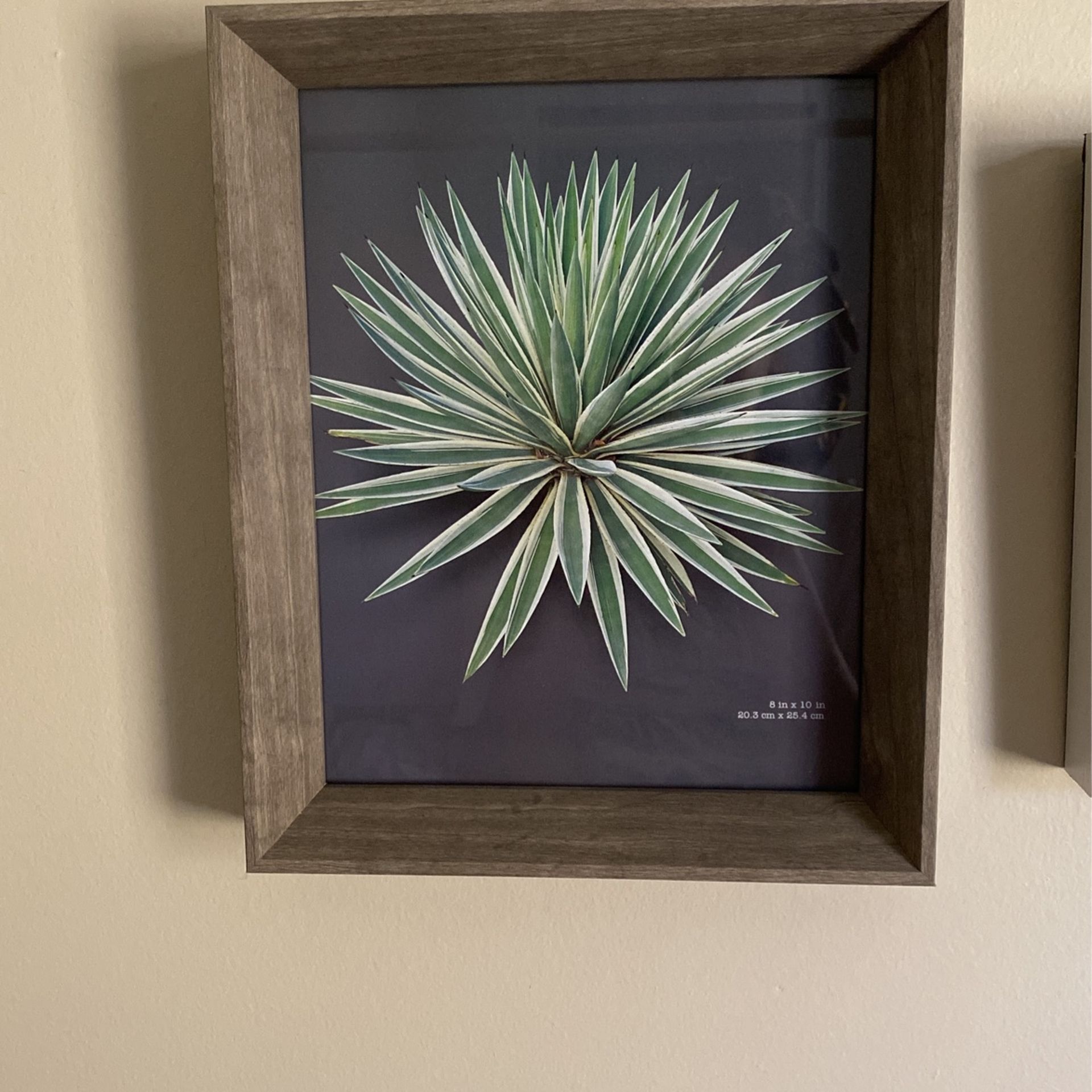 Wall Picture