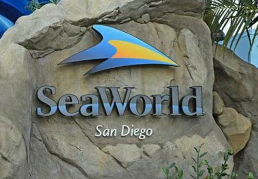 Seaworld Tickets Spooktacular