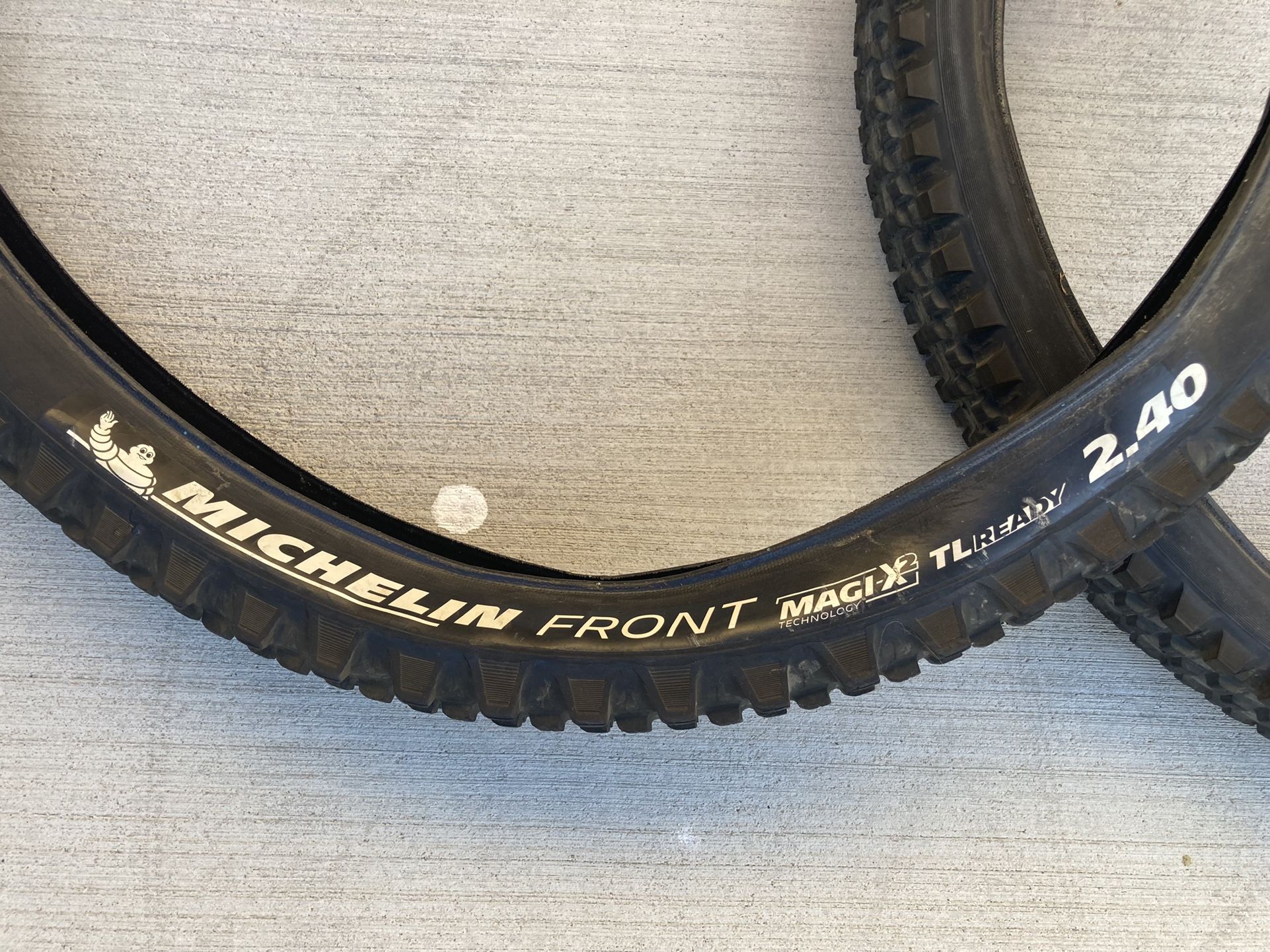 Mountain Bike Tires - Michelin Wild Enduro