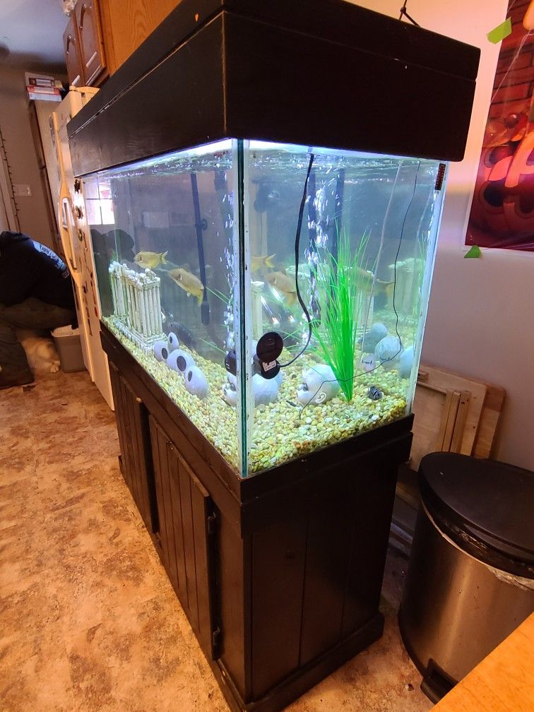 90 Gallon Aquarium