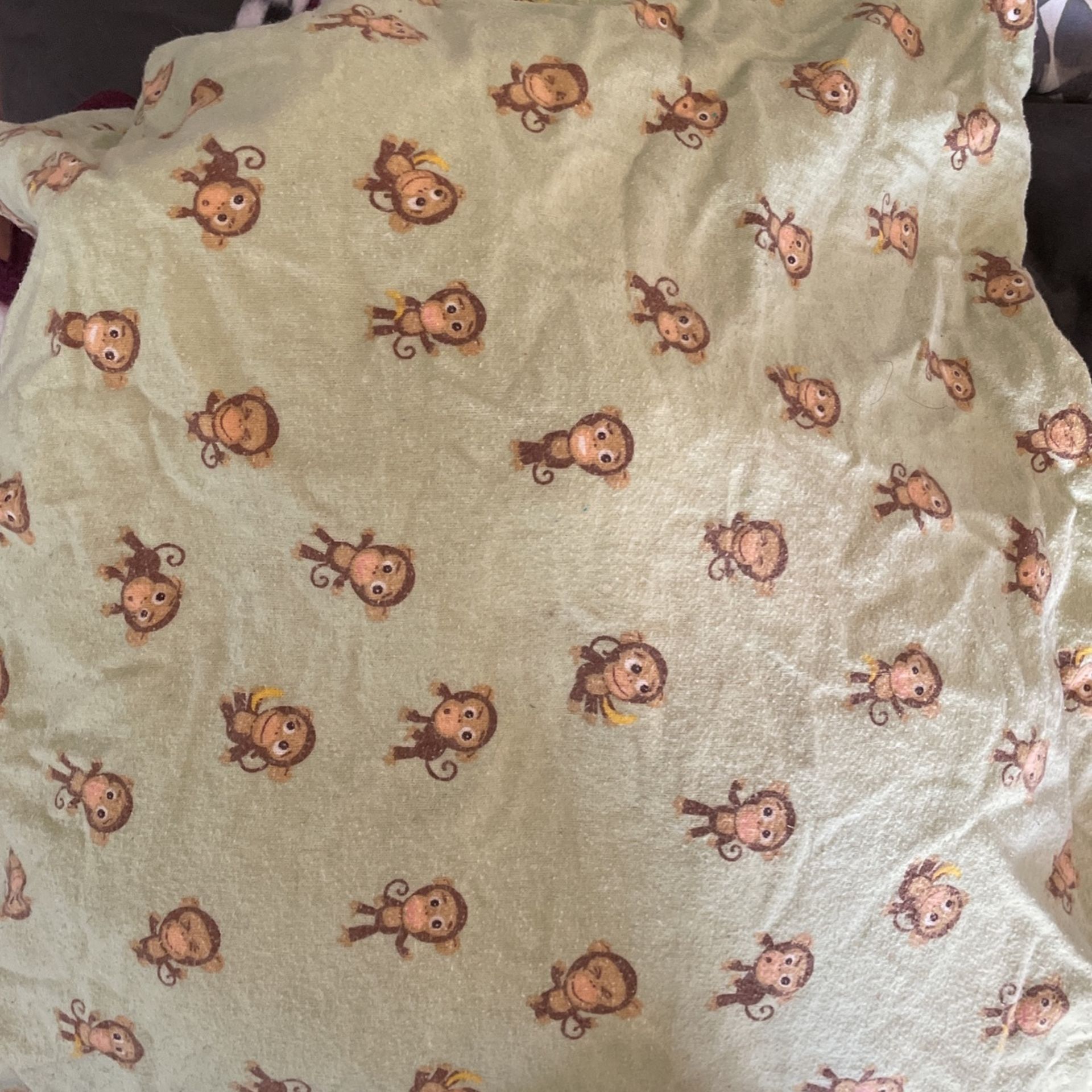 Twin Flannel Sheet Set