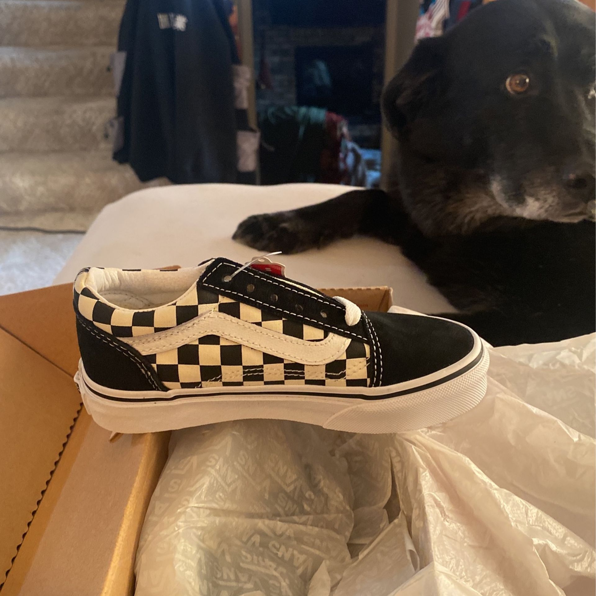 BRAND NEW YOUTH 12.5 VANS