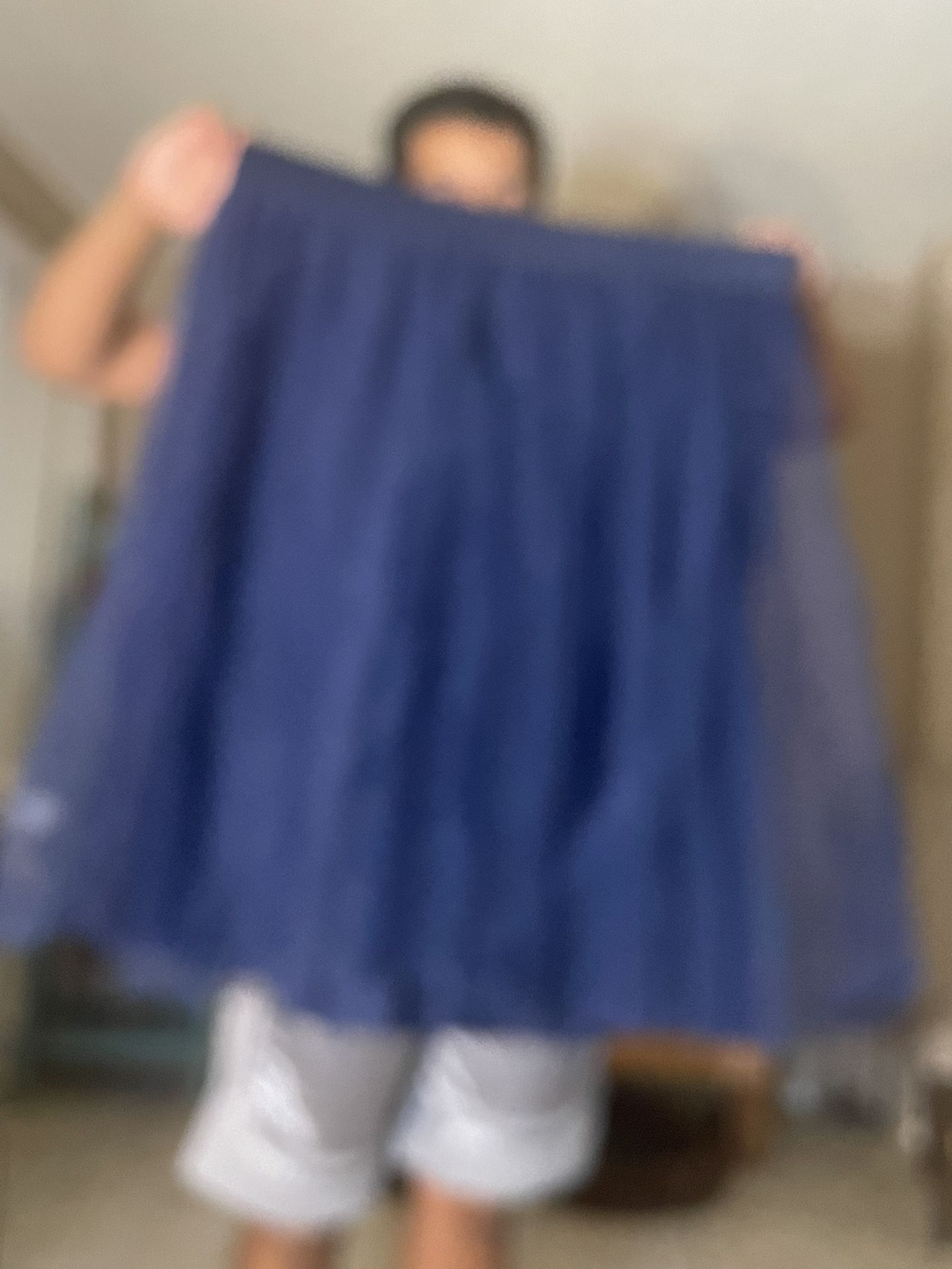 Torrid Size 3 Never Worn Tulle Skirt