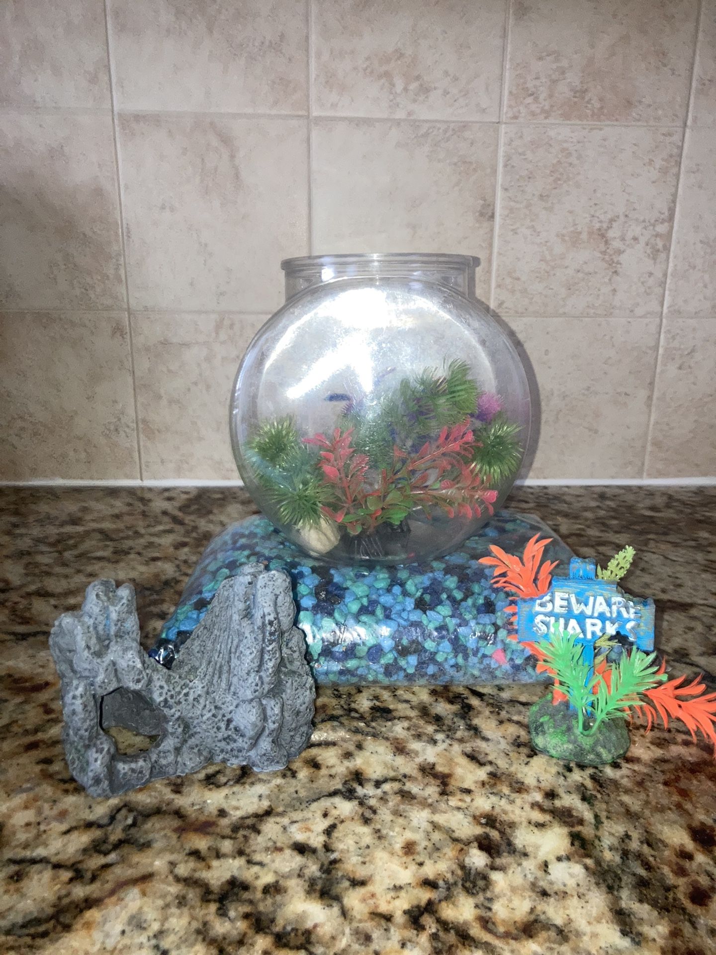 Fish Tank / Accessories