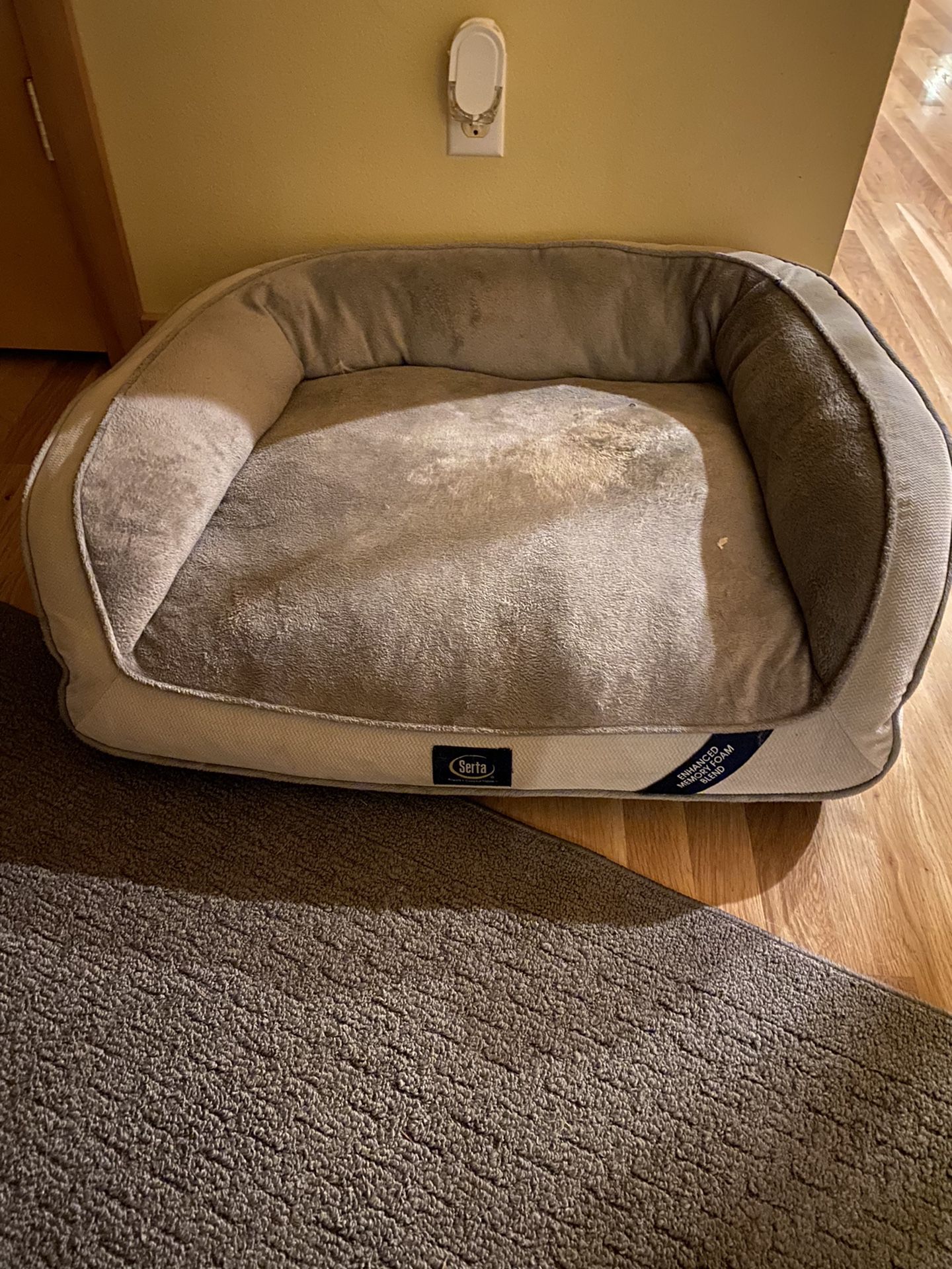 Serta Large Dog Bed- Memory Foam
