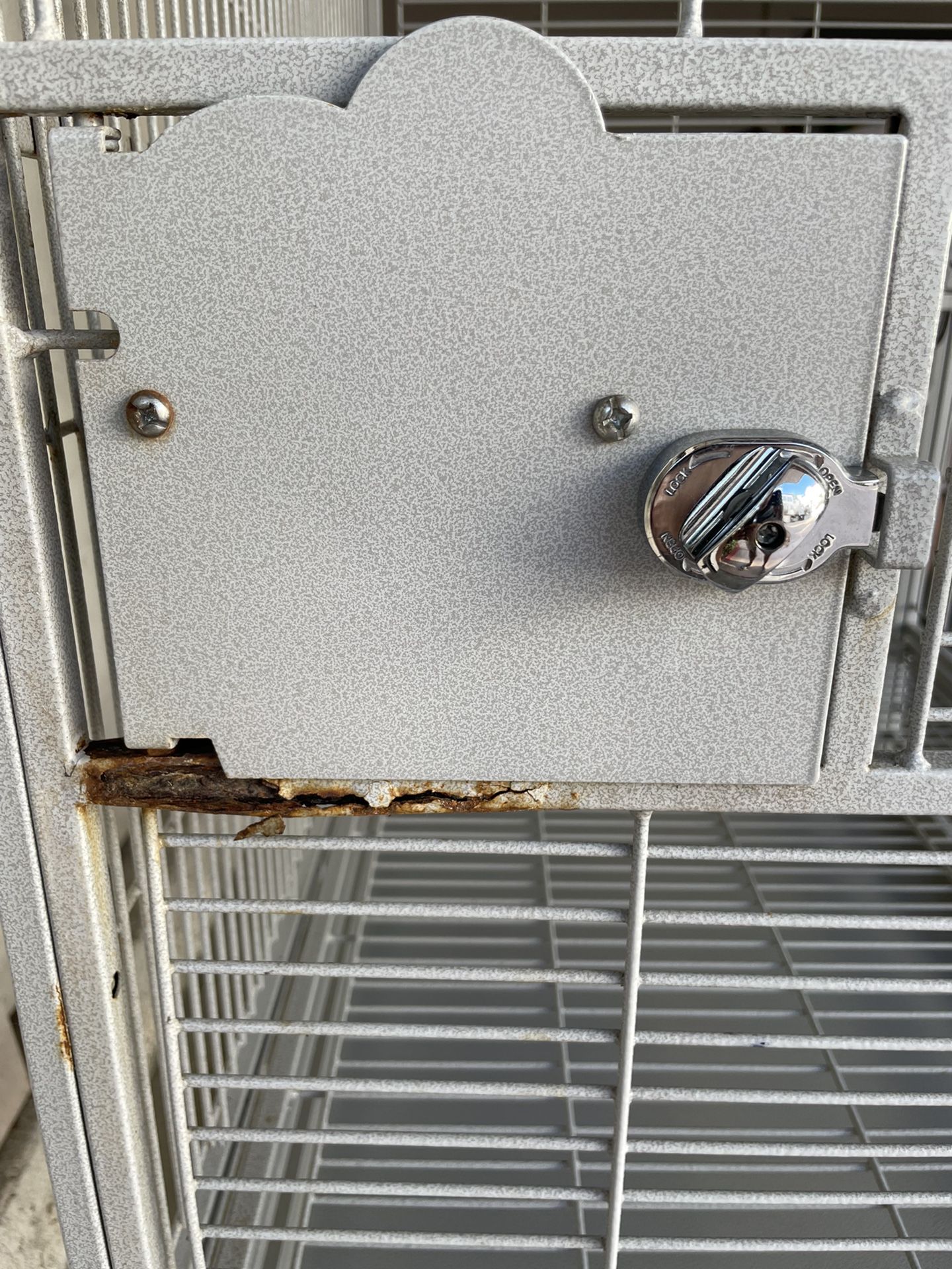 Metal Bird Cage