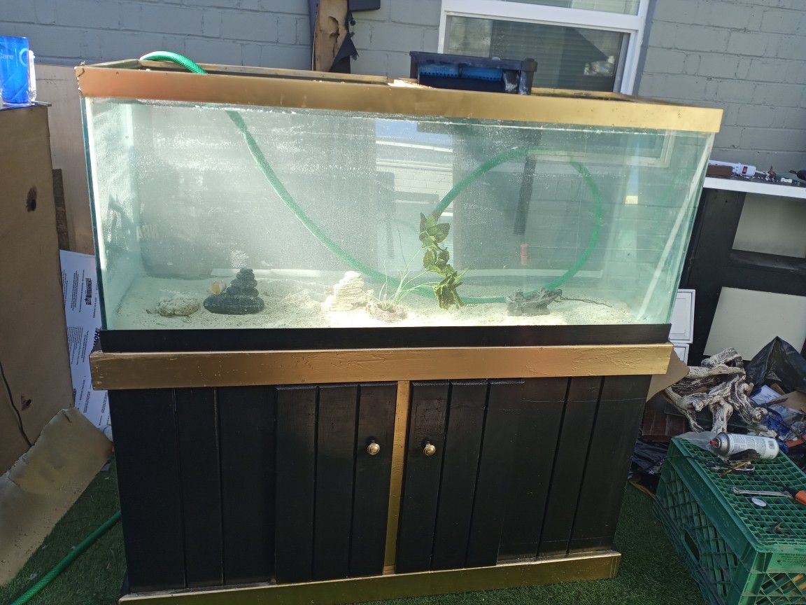 75 Gallon Custom Fish Tank Aquarium And Stand
