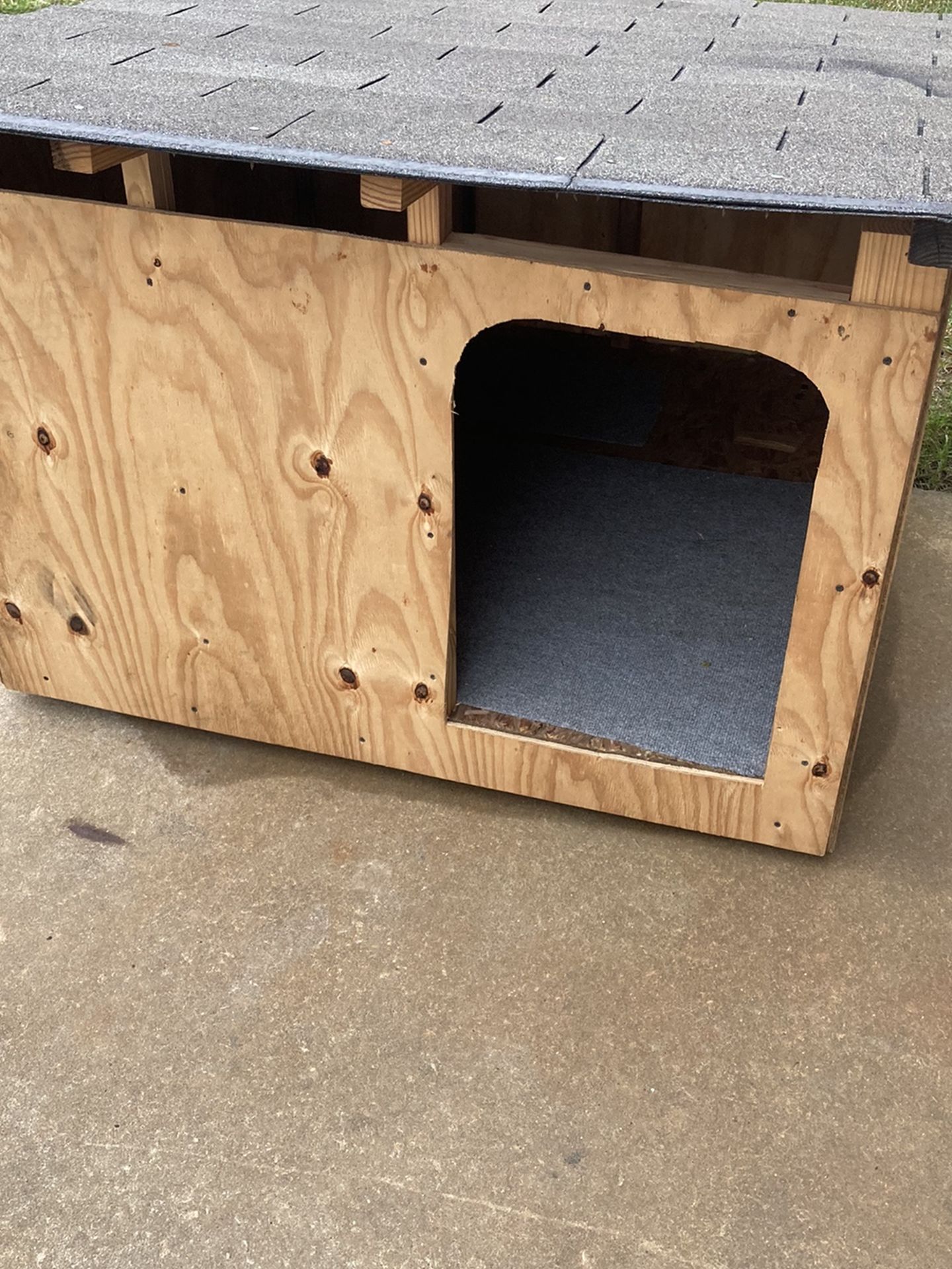 Dog House