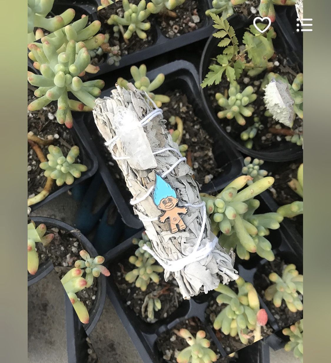 Mini white sage Spiritual healing