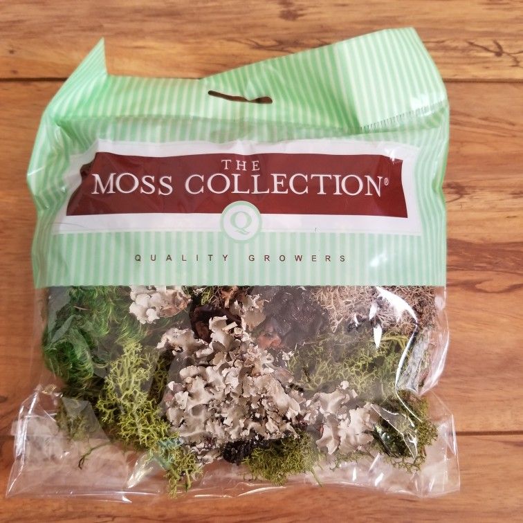 Dried Flowers For Arts And Crafts Only