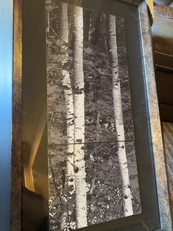 Framed Birch Tree Artwork NEW Thumbnail