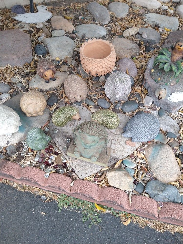 Hedge Hog Collection