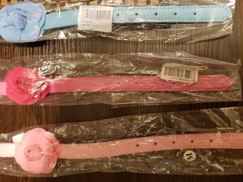 Various Size/Colors Dog Collar 🐕🐶