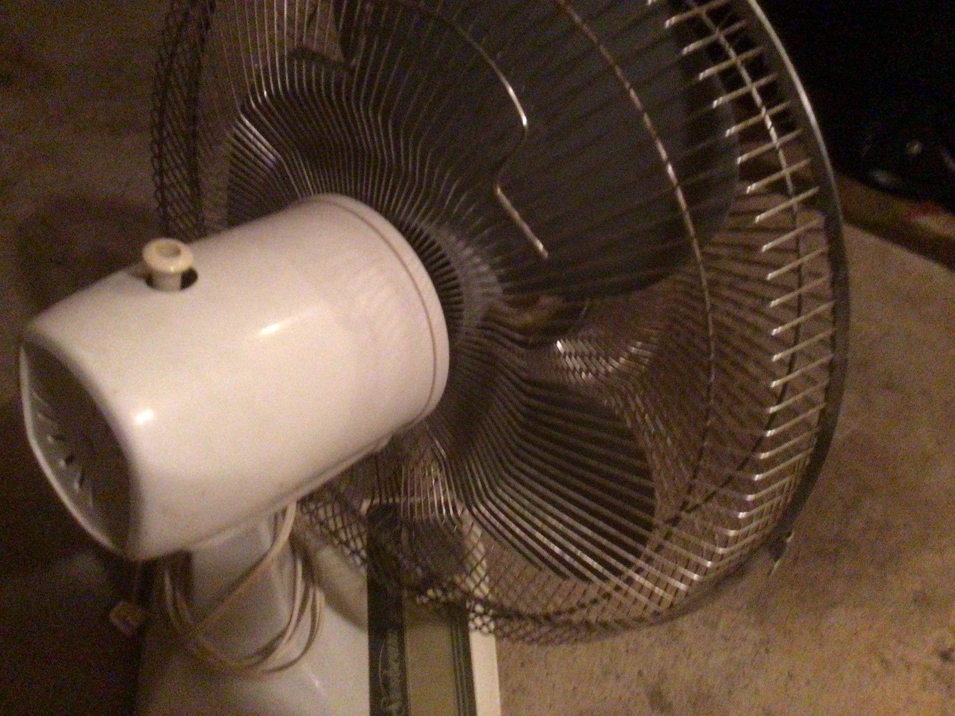 Oscillating Fan