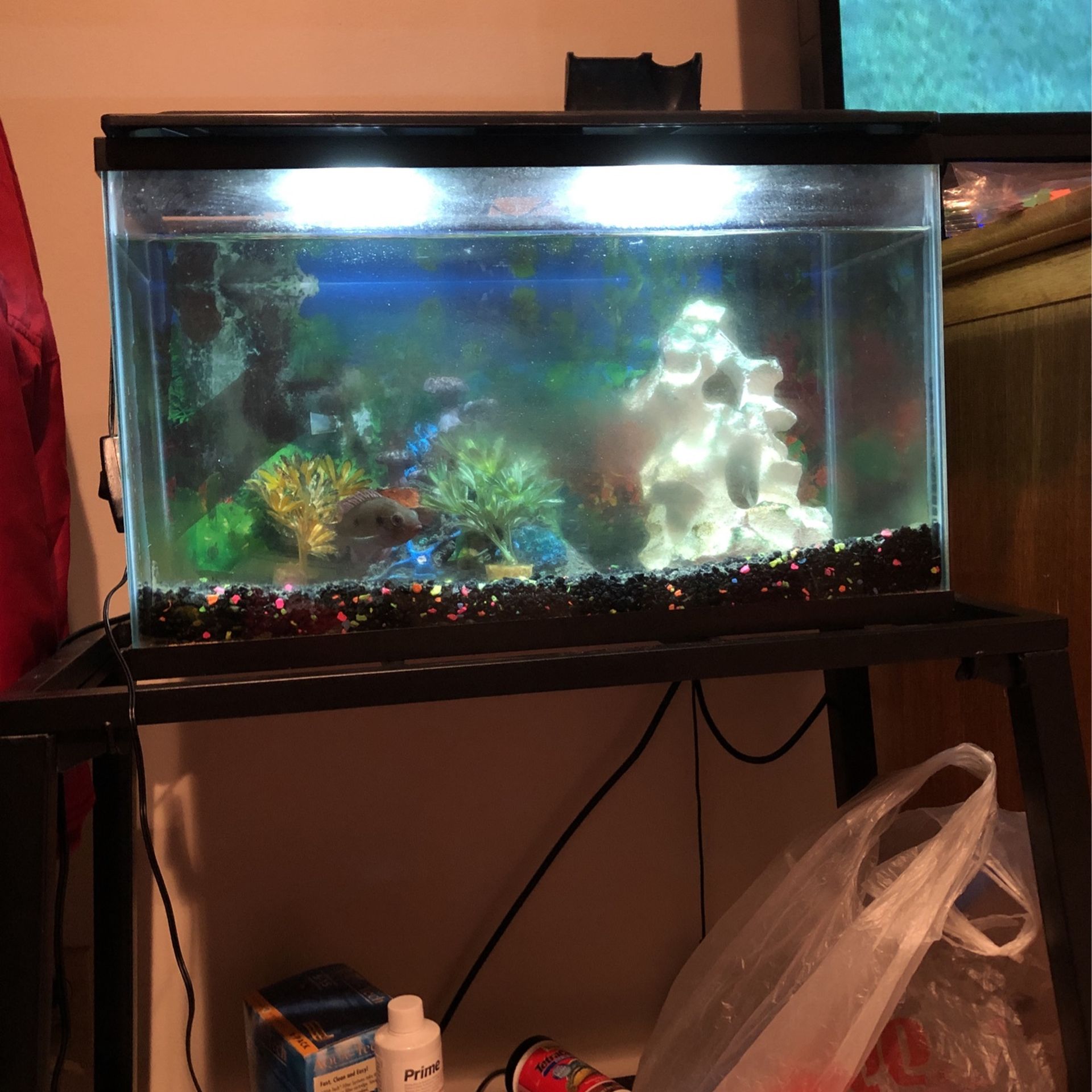 10 Gallon Fish Tank Whit Stand And 1 Fish Cichlid,With 5 Brand New Filter Whit Decorations .