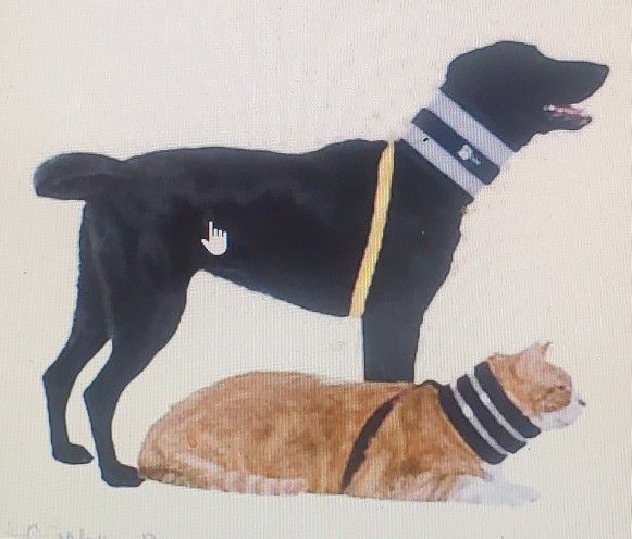 VET ONE Bite Free Collar