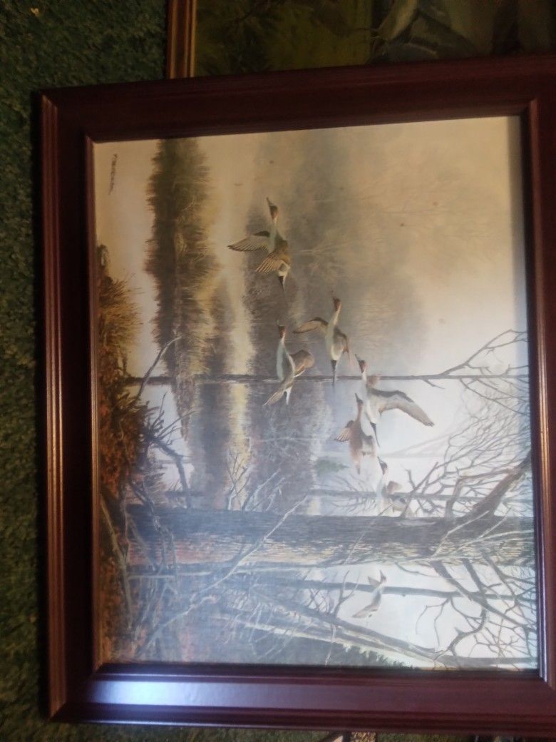 Vintage Hand Painted Duck Pictures