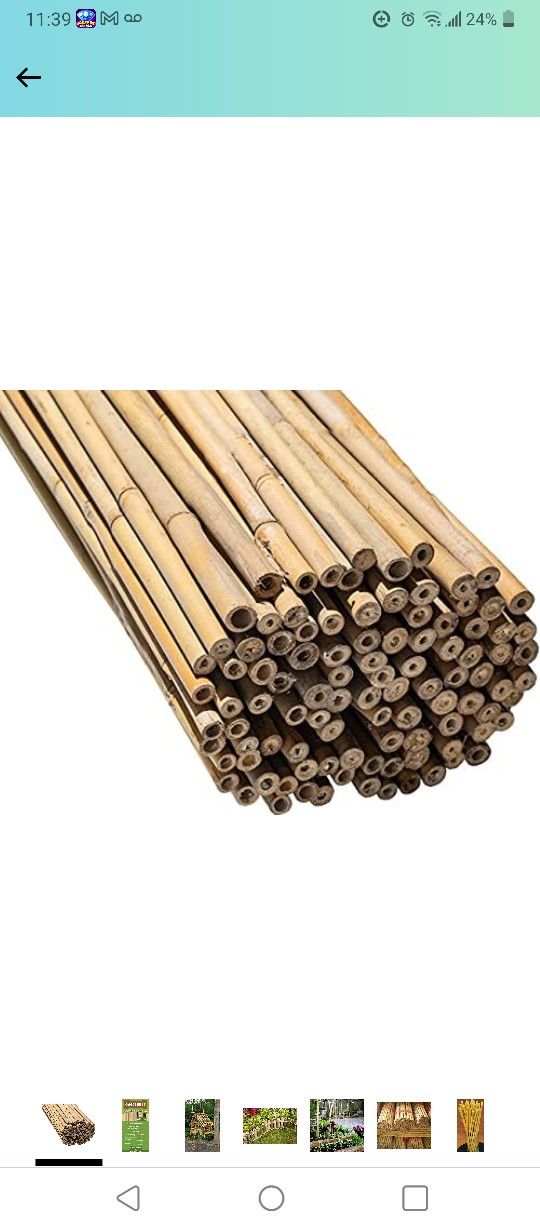 Bamboo Plant Stakes