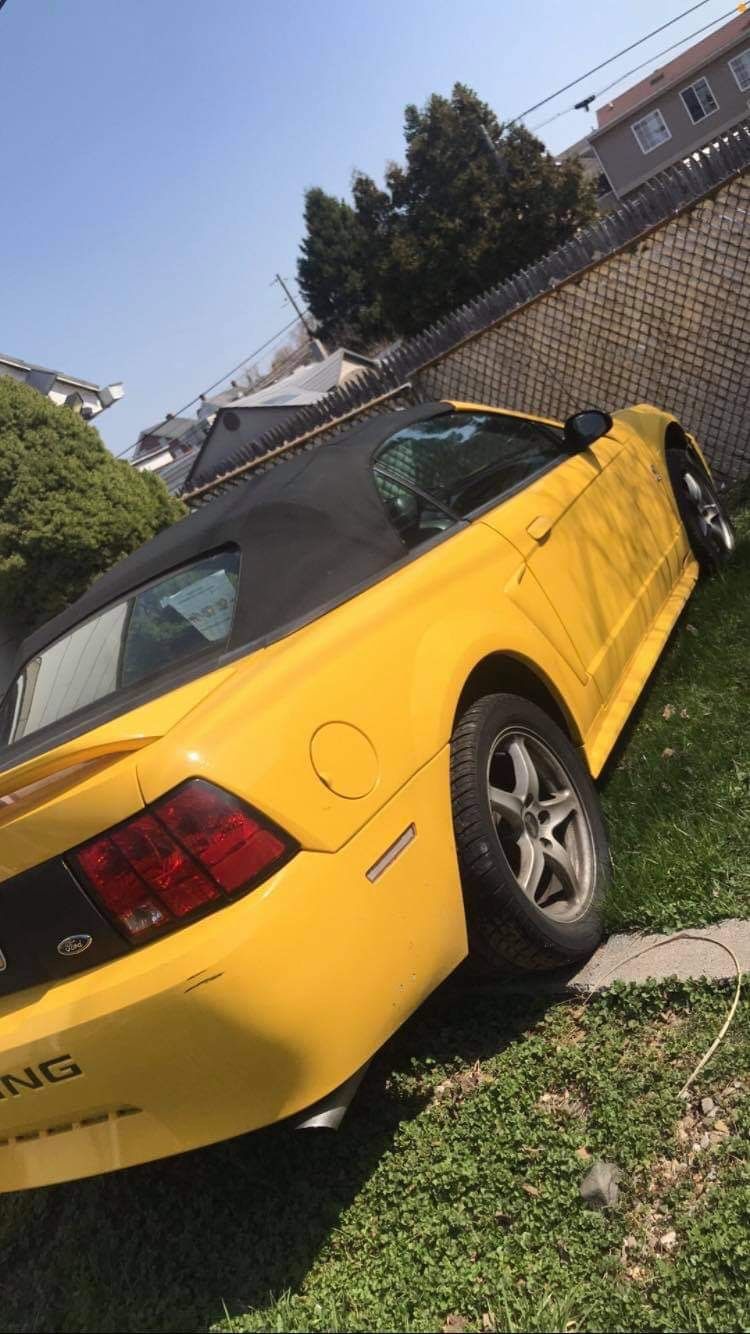 1999 Ford Mustang