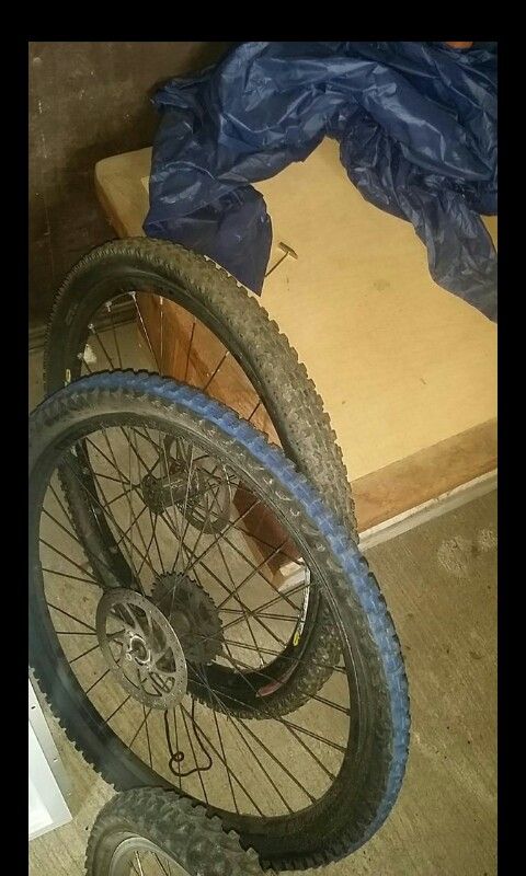*Cannondale jekyll rims*