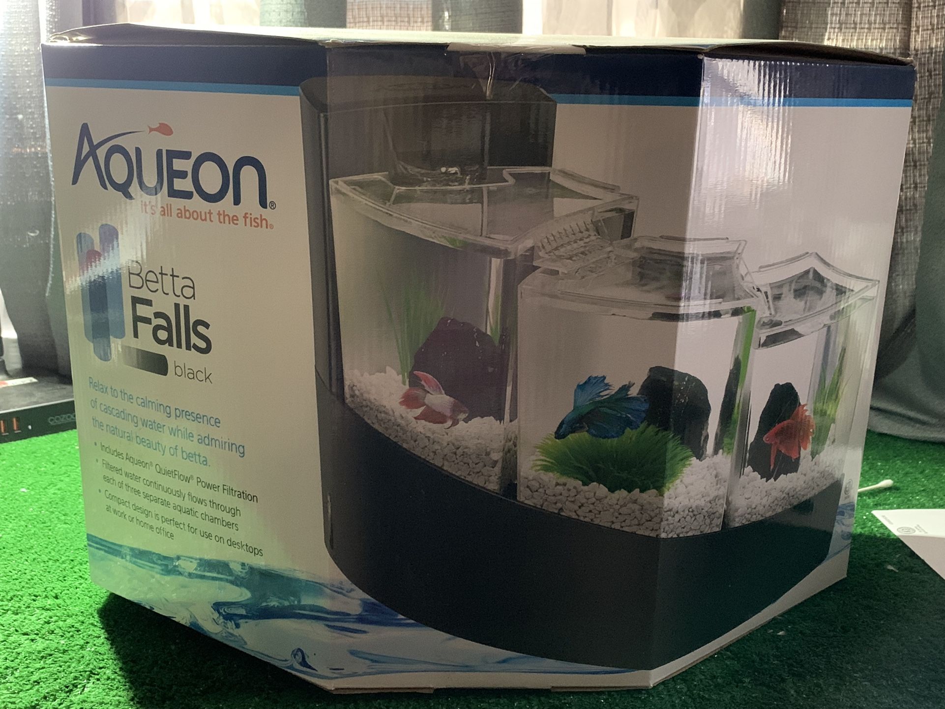 Beta Fish Tank