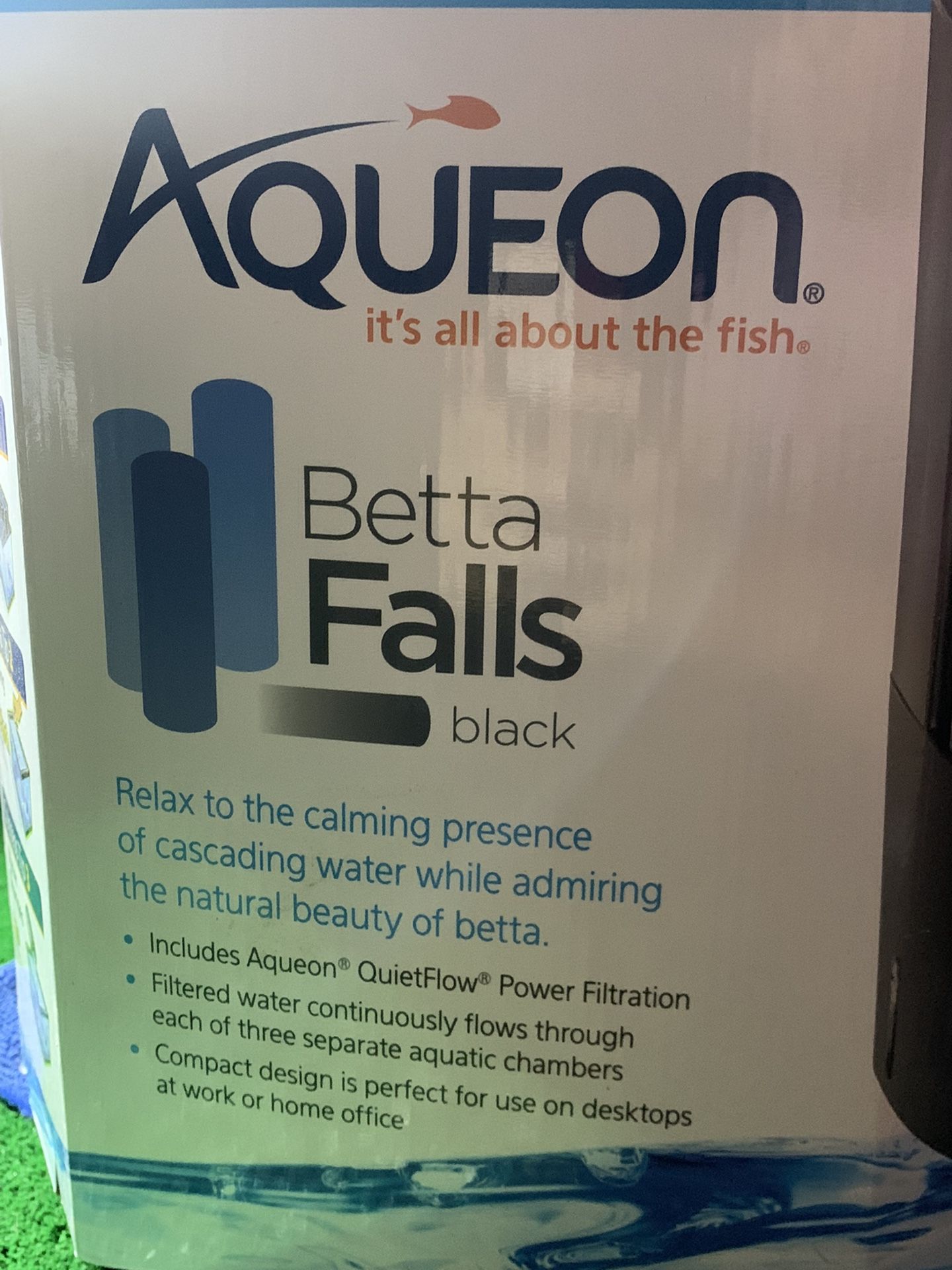 Beta Fish Tank