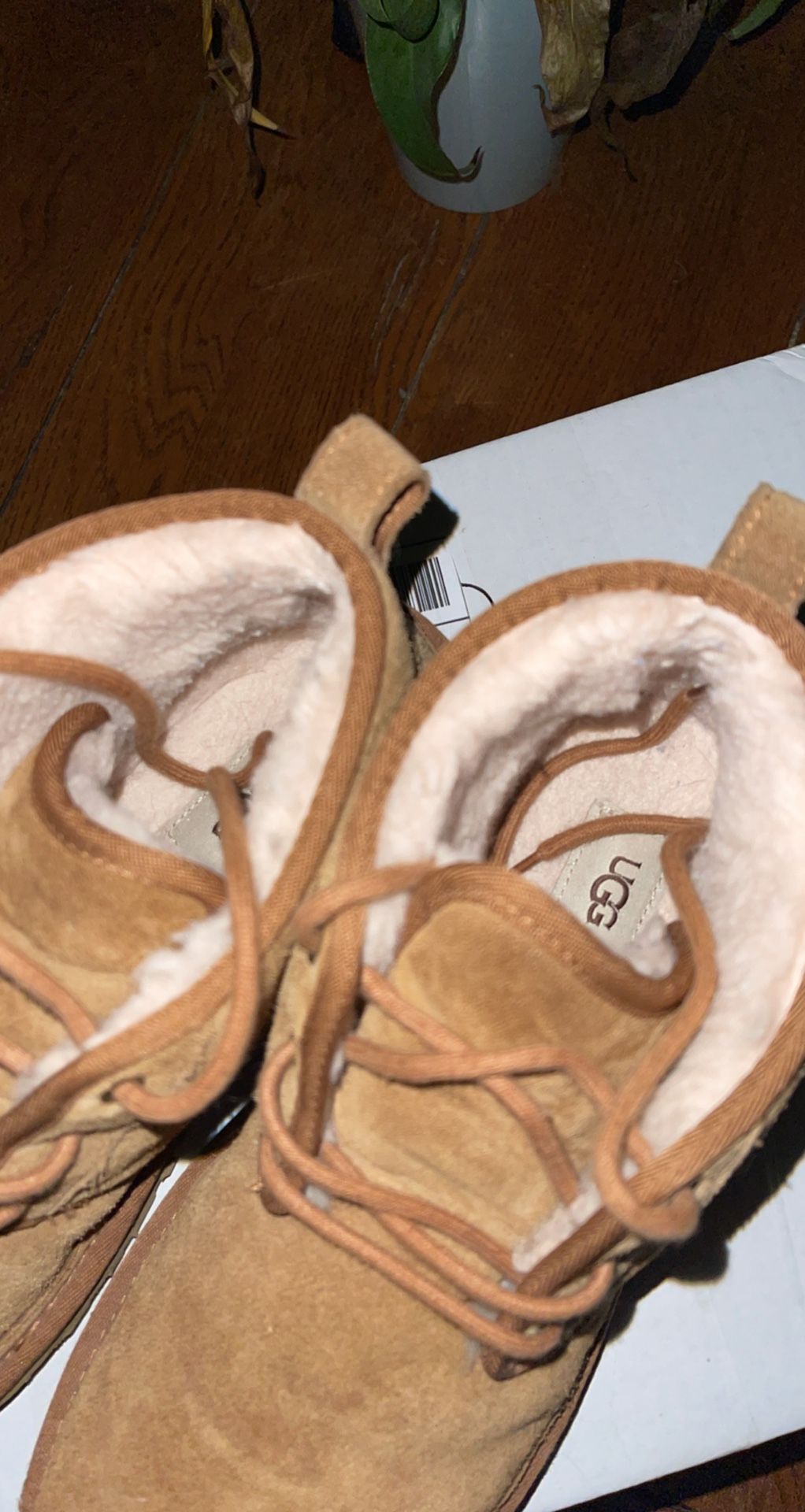Ugg Men Boots