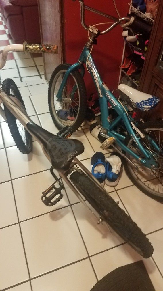 Dónde Cicletas De 20 Pulgadas Para Niño Y Niña 40 Por Las Dos