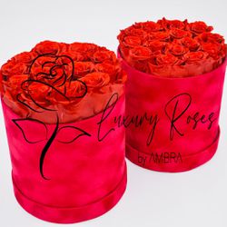 Red roses red velvet Box Eternal Box Roses bucket bouquet Gift Real Preserved Flowers Anniversary Birthday Present Luxury immortal roses Thumbnail