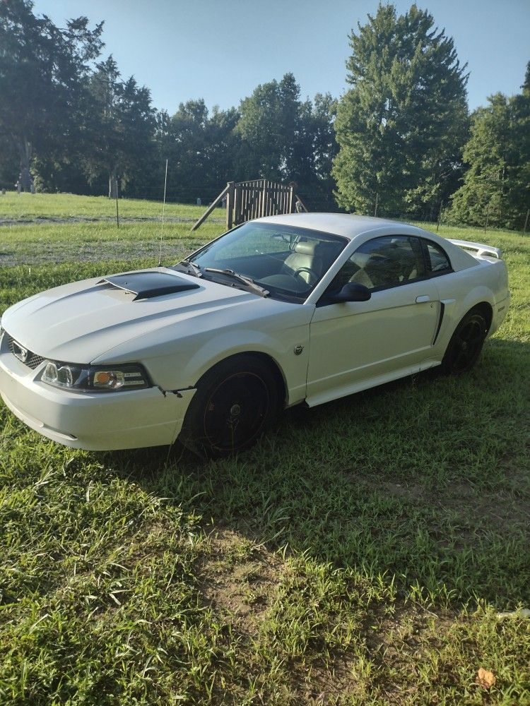 2004 Ford Mustang