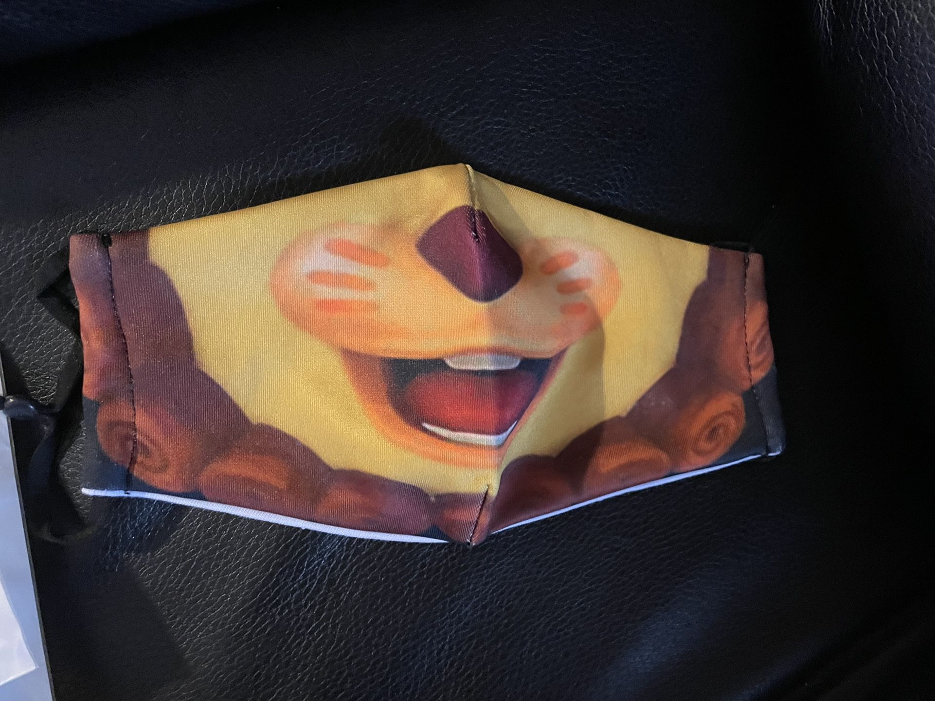 Adult Face Masks