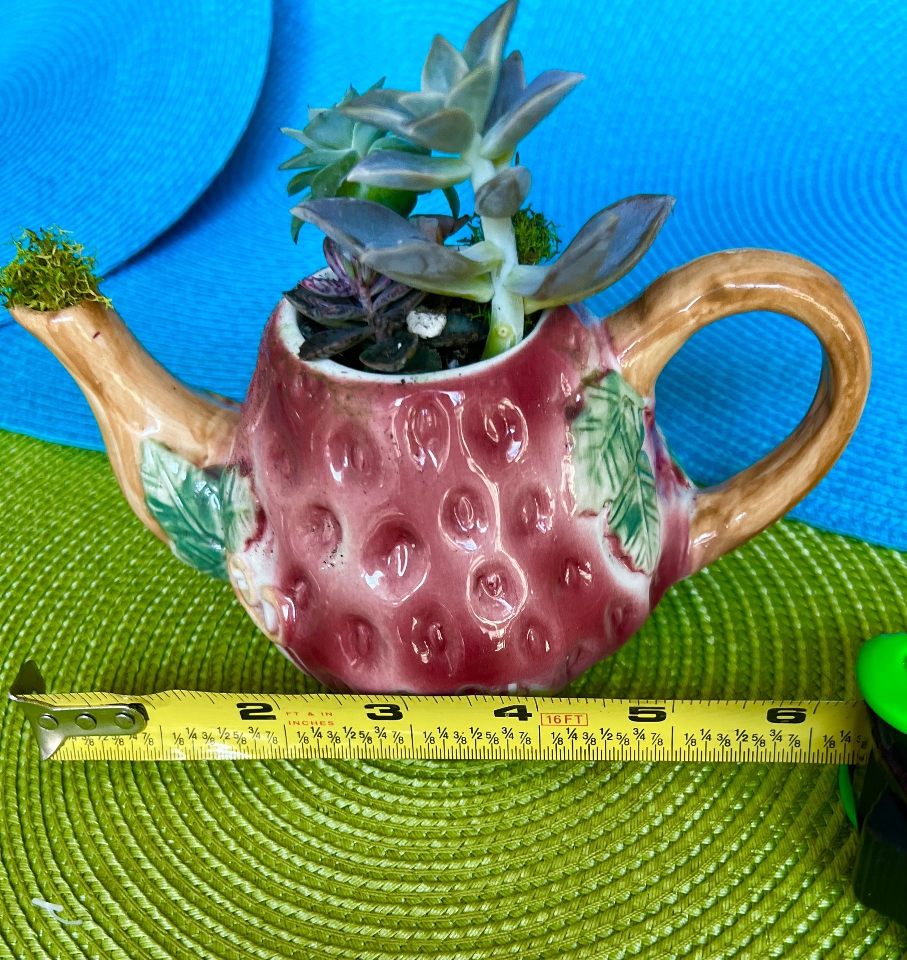 Beautiful vintage strawberry tea kettle filled with Live succulents stones and moss