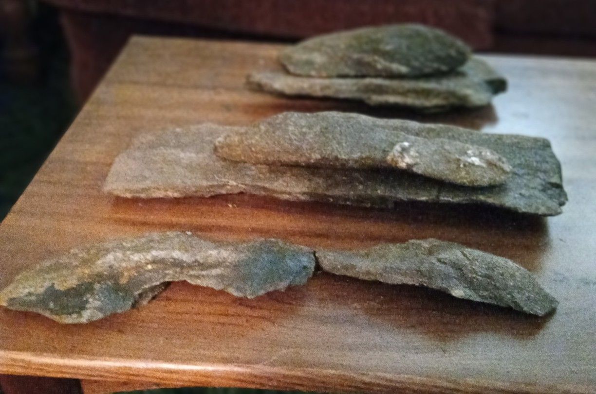 Creek Flat Auquarium, Reptile Rocks