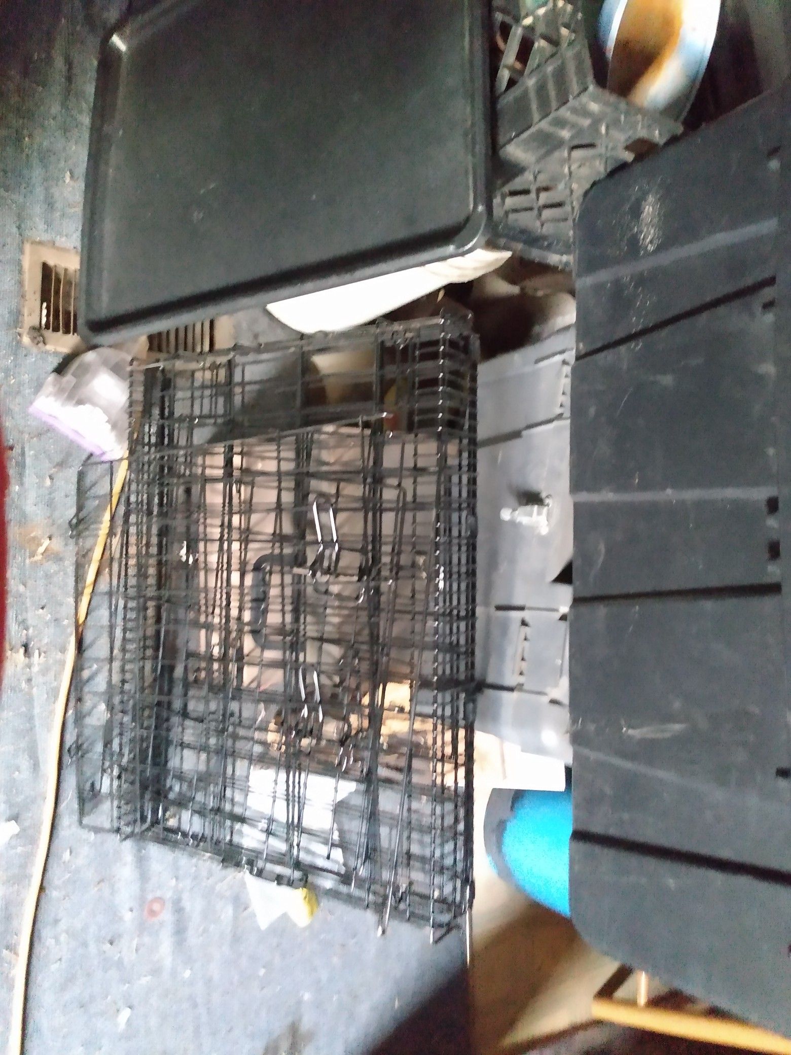 Small dog kennel