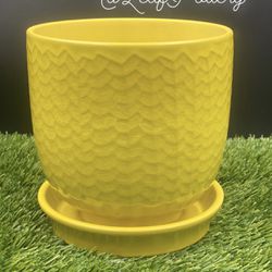 Sunshine Ceramic Planter Pot  Thumbnail