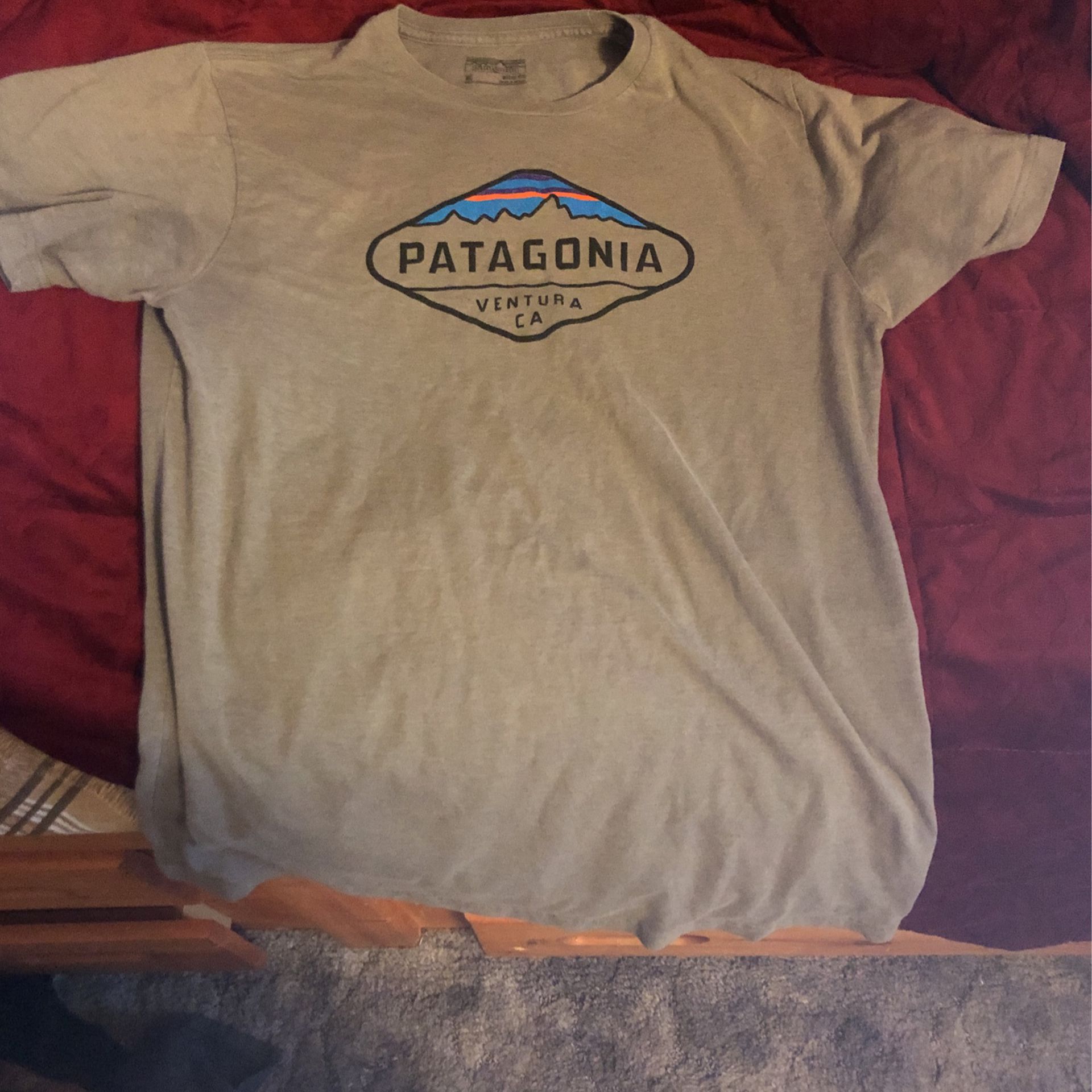 Patagonia T Shirt (M)